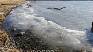 諏訪湖の湖面が凍っていた