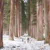 戸隠神社奥社チャレンジ。雪の積もった杉並木も風情があり、その光景に圧倒される。