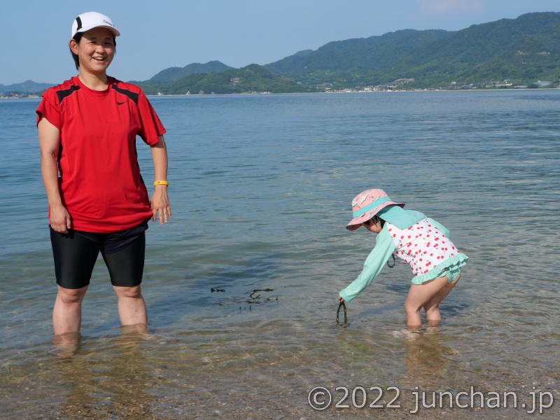 海藻を拾って遊ぶ子どもたち