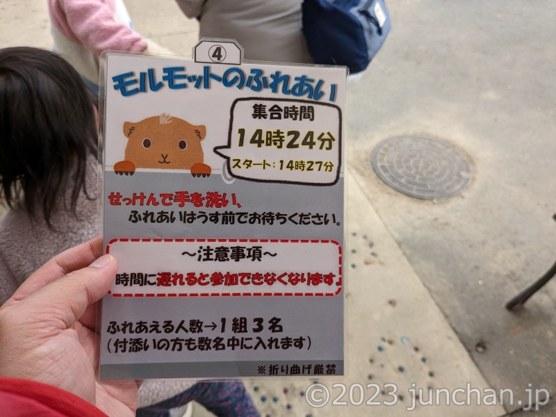 須坂市動物園 モルモットのふれあい 予約券