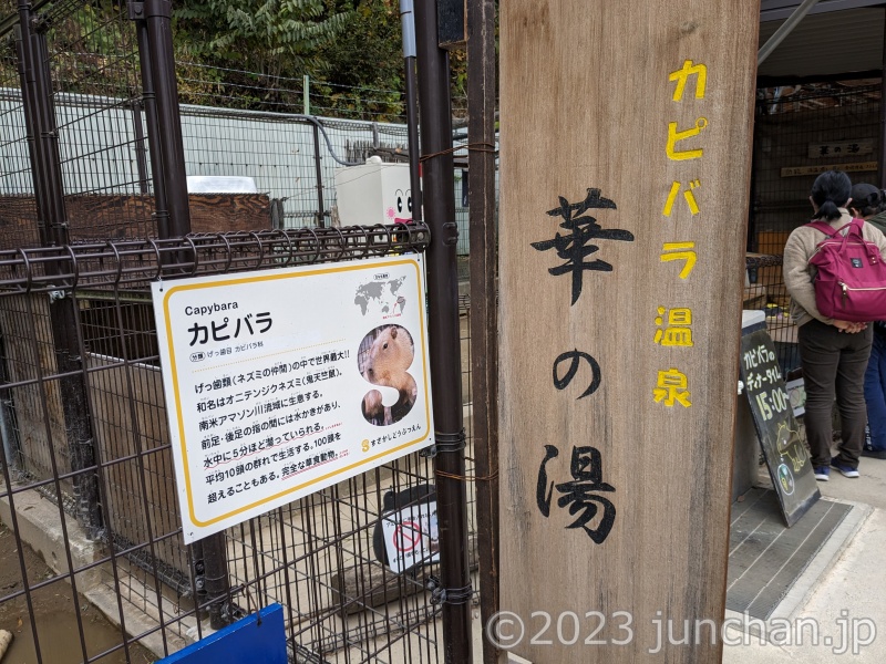 須坂市動物園 カピバラ温泉
