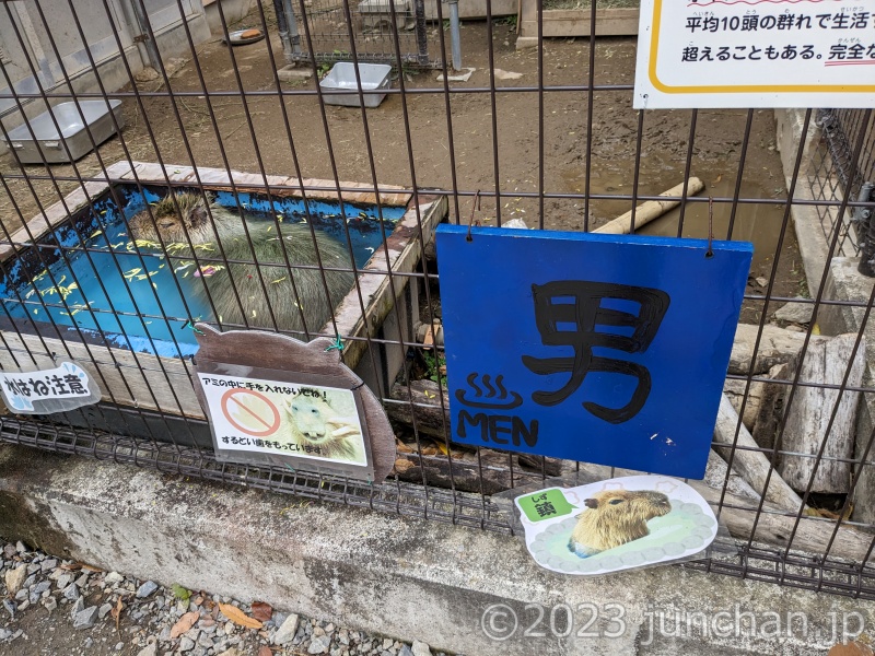 須坂市動物園 カピバラ温泉 男湯