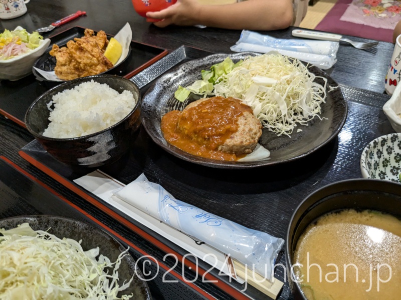 雲水 佐久平食堂 ハンバーグと唐揚げの定食