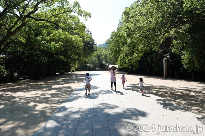 大山祇神社 境内の参道