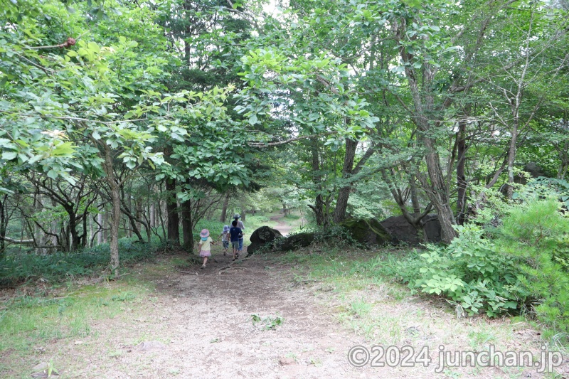 天女山の山頂に向かう