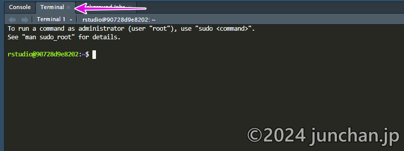 R Studio Server Terminal