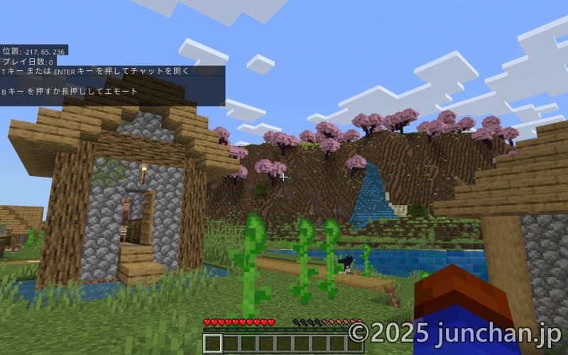 Minecraft 新しいシード値で世界を作ってみた