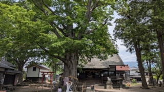 北国街道 海野宿 白鳥神社 境内の様子