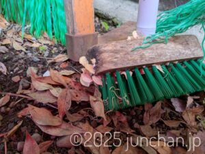 デッキブラシにきのこが生えた