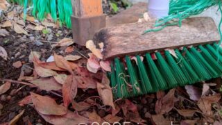 デッキブラシにきのこが生えた
