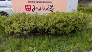 平尾温泉 みはらしの湯