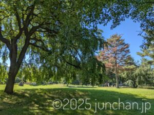 長野県 御代田町 雪窓公園