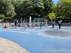 東御中央公園 くじら噴水