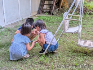 カマキリに群がる子どもたち