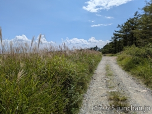 霧ヶ峰 薙鎌神社への道