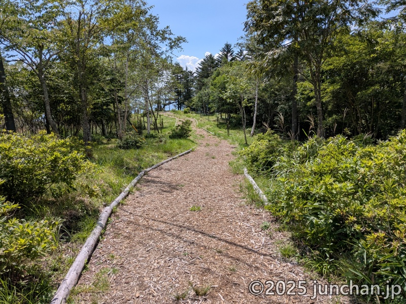 霧ヶ峰 薙鎌神社 参道 ウッドチップの道