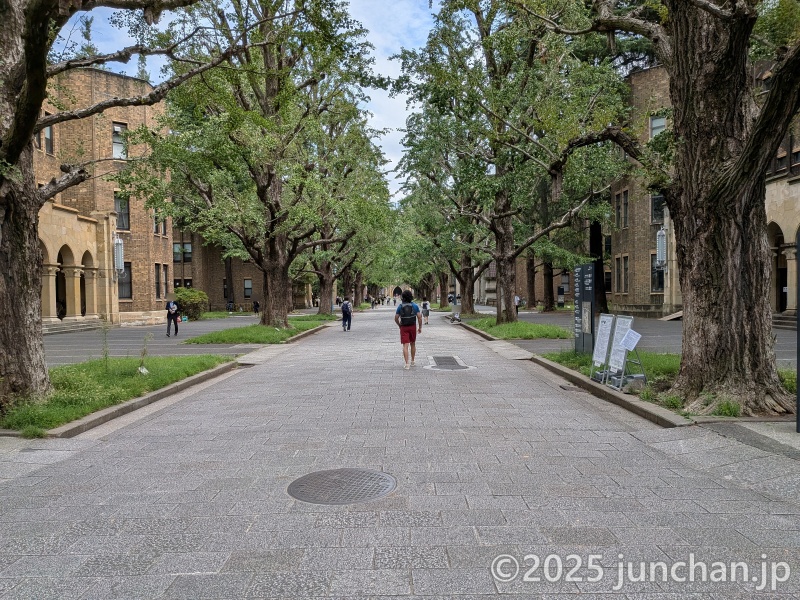 東京大学 正門からの並木道