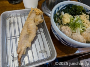 うどん TOKYO LIGHT BLUE HONGO-3 日替わりきまぐれうどん