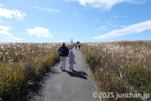 霧ヶ峰高原を歩く