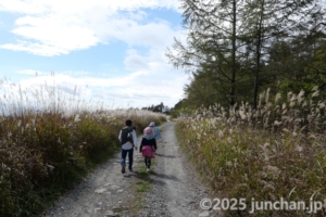 霧ヶ峰高原を歩く