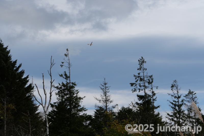 霧ヶ峰高原 グライダーが飛んでいる