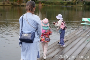 白樺湖 ボート乗り場 鯉に餌をやる子どもたち