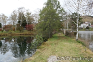 池の平神社 参道