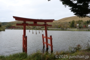 池の平神社 湖側の鳥居