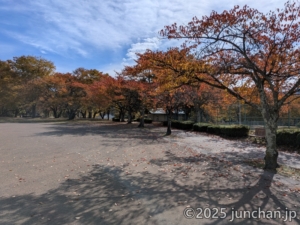 御代田町 第41回町民健康マラソン大会 紅葉する雪窓公園