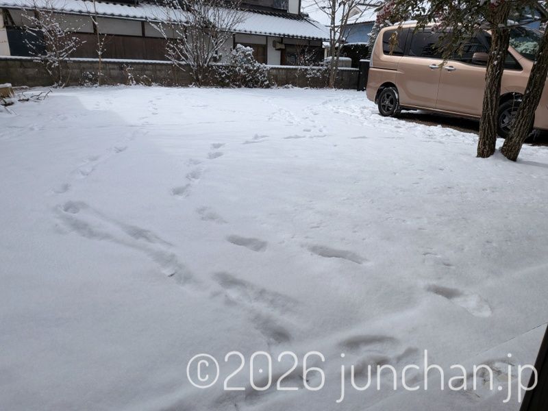 庭に雪が積もった