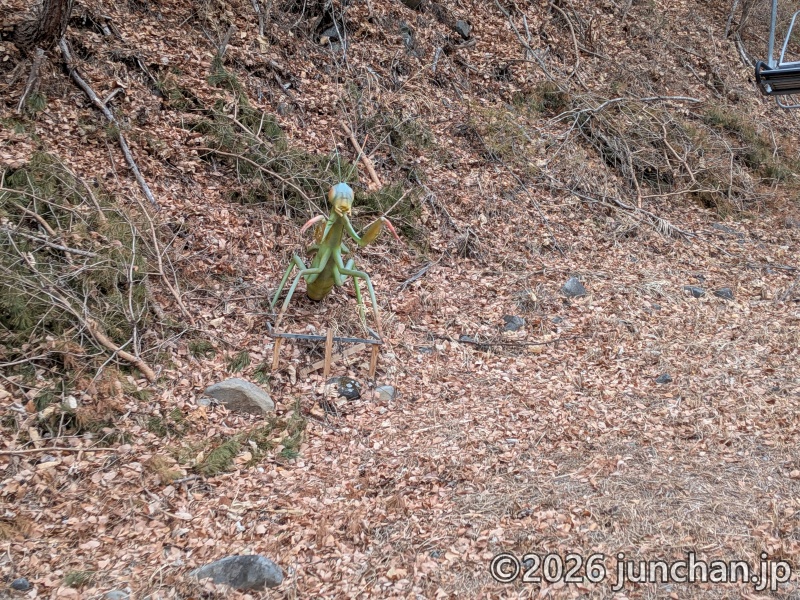 佐久スキーガーデンパラダ 南パラダ ビバーチェコース カマキリ