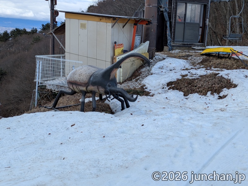佐久スキーガーデンパラダ カブトムシ