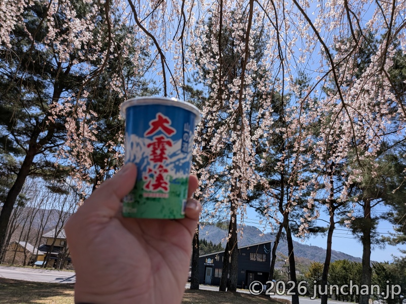長野県 御代田町 雪窓公園 桜 花見