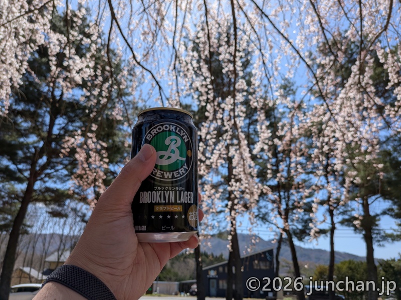 長野県 御代田町 雪窓公園 桜 花見