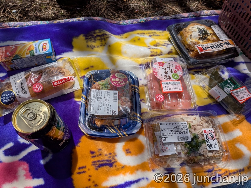 長野県 御代田町 雪窓公園 桜 花見
