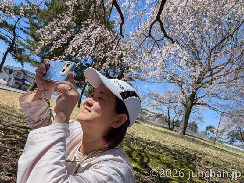 長野県 御代田町 雪窓公園 桜 花見