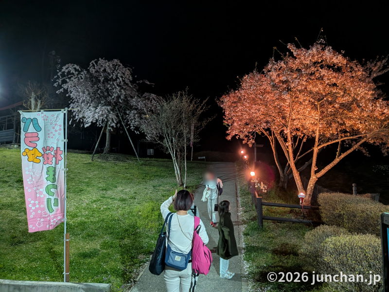 佐久市 パラダ 夜桜のライトアップ