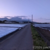 夕方～夜のお散歩