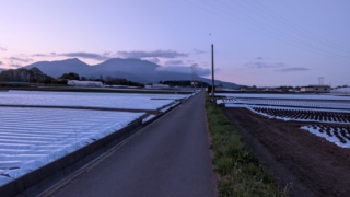 夕方～夜のお散歩
