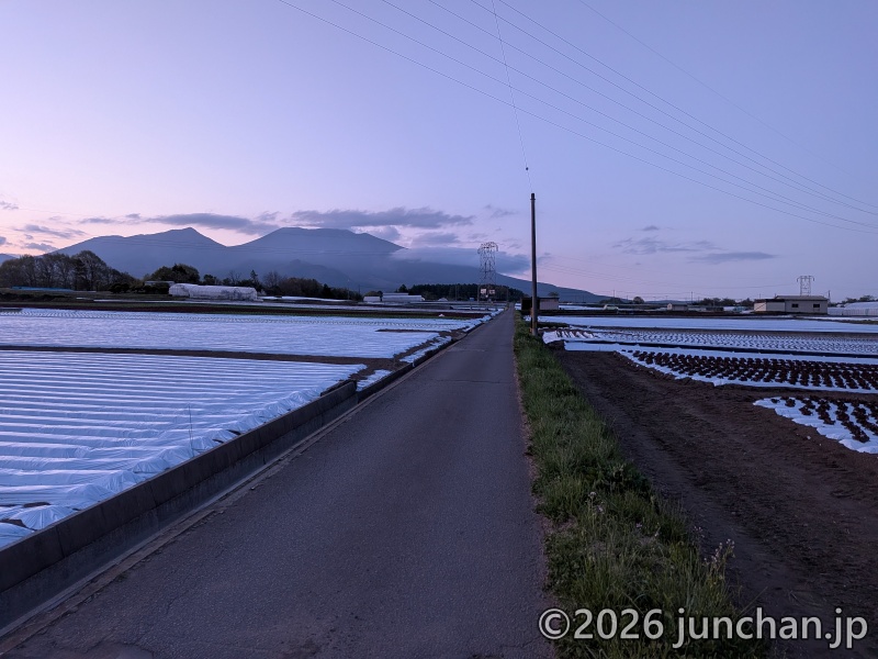 夕方～夜のお散歩