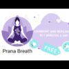 Prana Breath: Calm & Meditate - Apps on Google Play